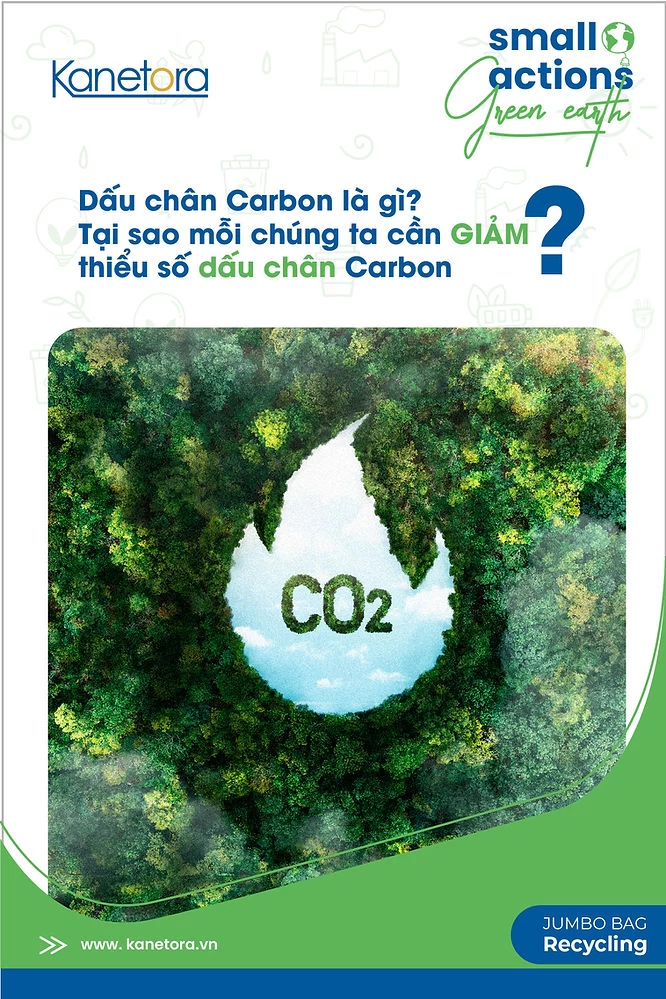 What is Carbon Footprint? Why Each of Us Needs to Reduce Our Carbon Footprintsố dấu chân Carbon